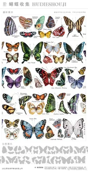 Собранный образец клея Baicangjia из Журнала образцов ПЭТ-ленты с бабочкой-Васи в 1 Петлю