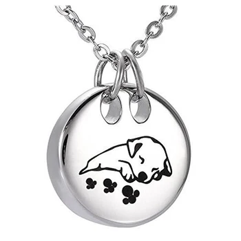 Медальон для Мемориальной урны Для собак, ювелирные изделия Для Кремации, Кулон из нержавеющей Стали, ожерелье, 2 цвета