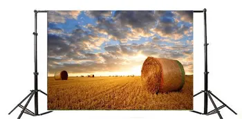 Фон для фотосъемки Сельскохозяйственное поле Небо Рулон Пшеницы Тюк Сельхозугодья