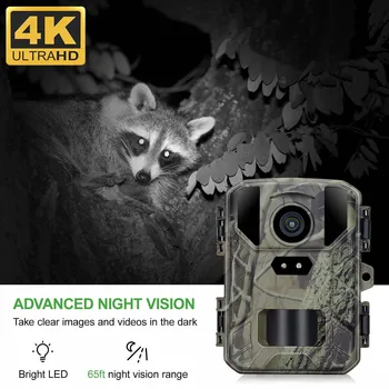 4K MiNi800 Мини-Камера Для Охоты На дикую природу 50MP Keep Way Trail Камера Водонепроницаемая HD Инфракрасная Фотоловушка Ночного Видения с 256 ГБ Автомобиля
