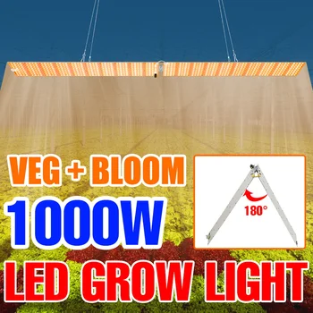 Светодиодная фитолампа 220 В, полный спектр, тепличный светильник для комнатных растений, Гидропоника, светильник для рассады, Семена цветов, Палатка для выращивания